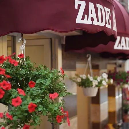 Zade 3*
